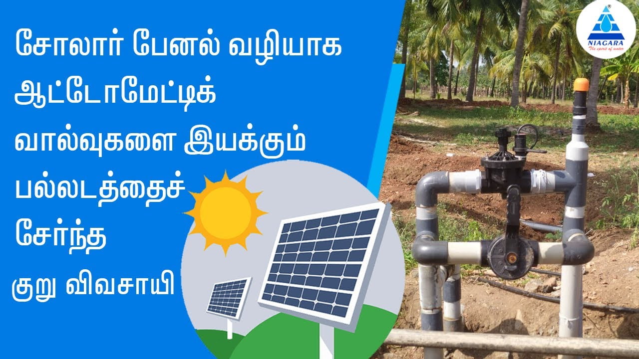 Drip Irrigation For Coconut Farming Niagara Irrigation Automation